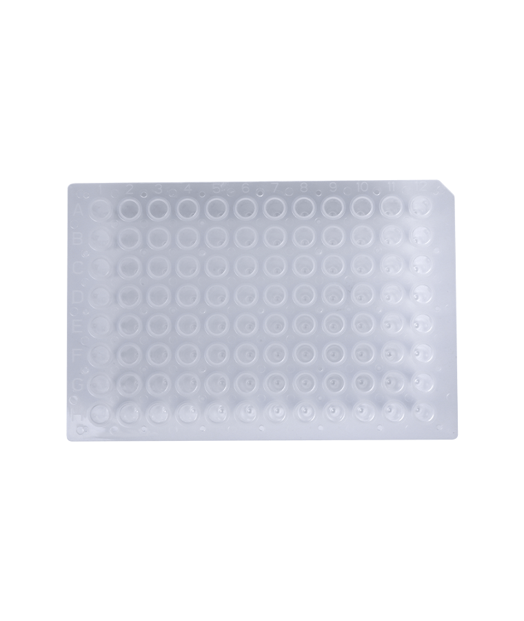 PCR20-C-96-NS Đĩa PCR trong suốt 96 giếng không váy 0,2ml