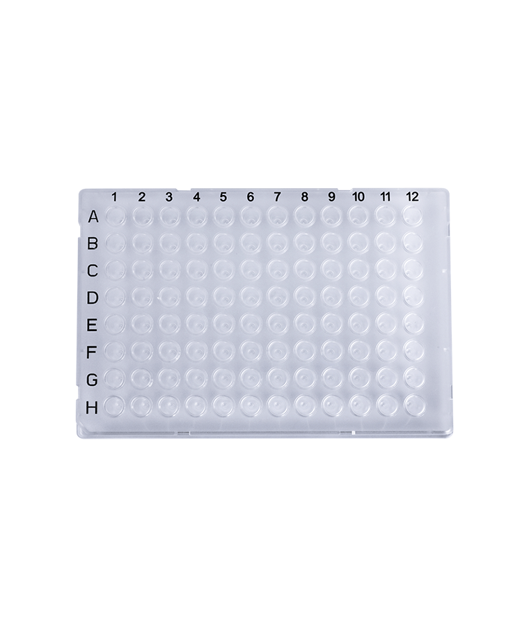 PCR20-C-96-FS-BC Đĩa PCR 96 giếng trong suốt 0,2ml